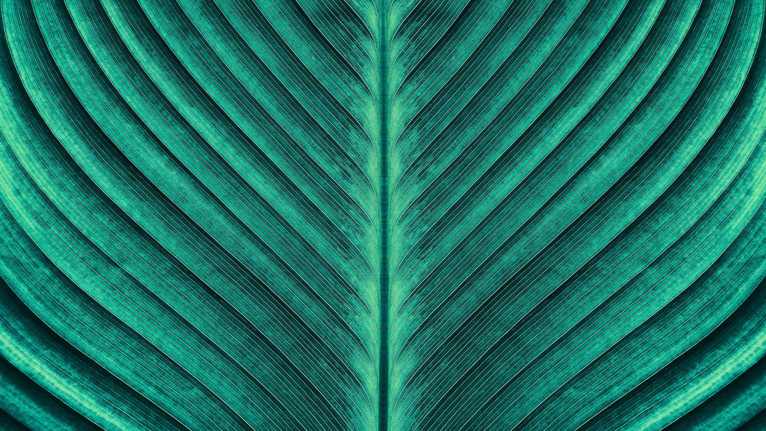 rsz_1e2edef7487dc8f4bc057344ca5d34a4101634a0-1-scaled